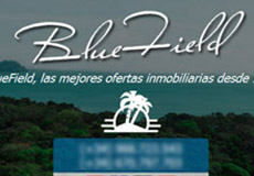 Blue Field Gestores inmobiliarios